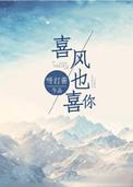 喜风也喜你免费阅读