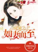 婚如暖阳免费阅读