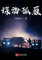 谍战剧孤雁