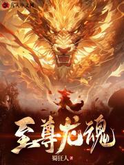 至尊龙魂林凡版