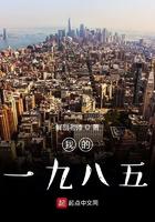 我的一九八一