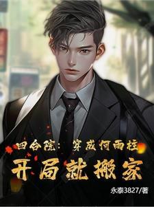 四合院穿成何雨柱