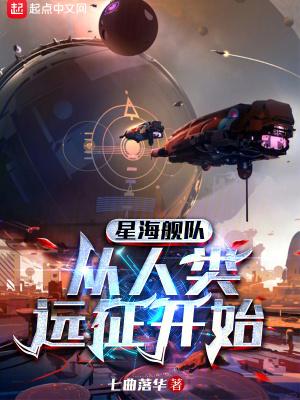 星海共同体舰队