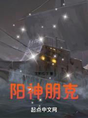 阳神朋克笔趣阁