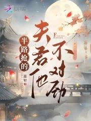 半路抢的夫君他不对劲魏昭身份