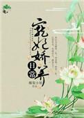 宠妃娇养日常作者梨酒儿