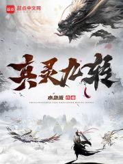 真灵九转百度