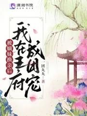 被嫡妹换亲后我在王府成团宠讲什么