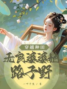 种田文恶婆婆