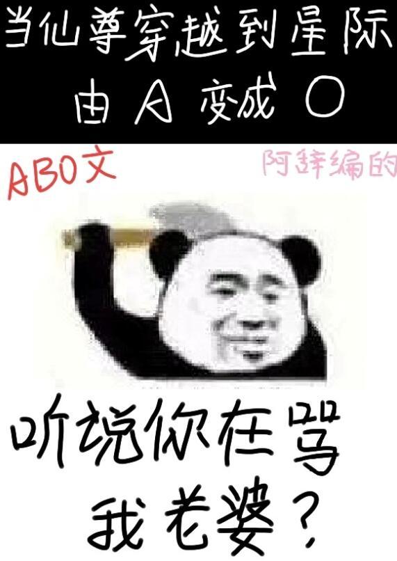 你说我在骂你