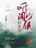 功夫高手少侠是谁
