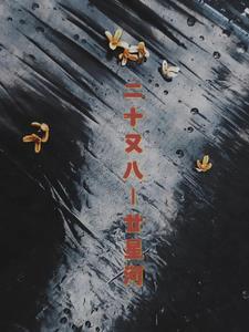 二十又八载gl