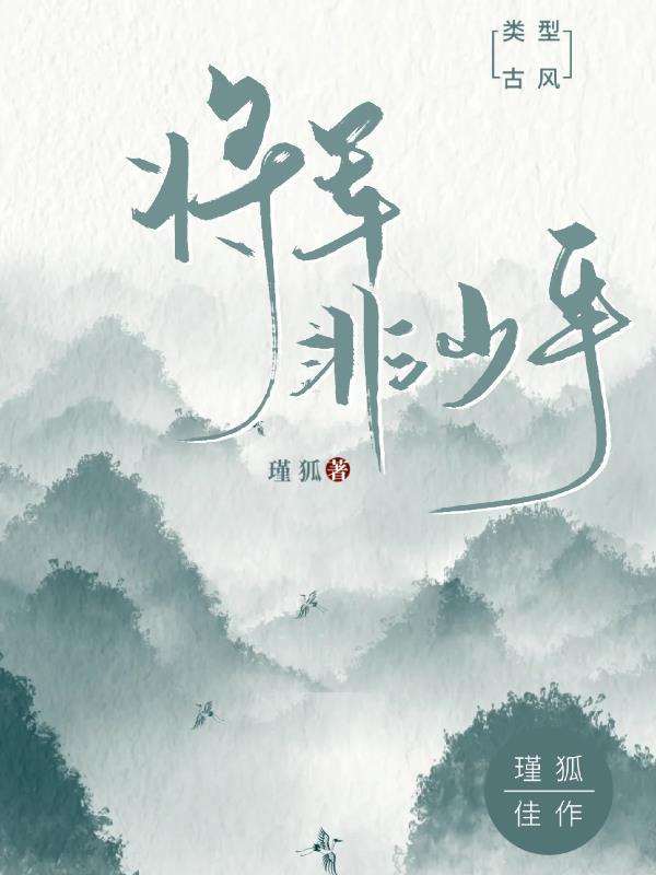 将军非少年简介