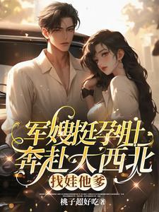 穿越孕妇军嫂