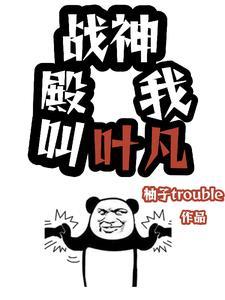 战神女婿叶凡