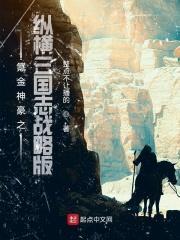 s3纵横天下卡包