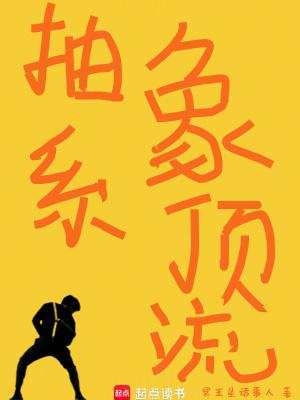 抽象体系