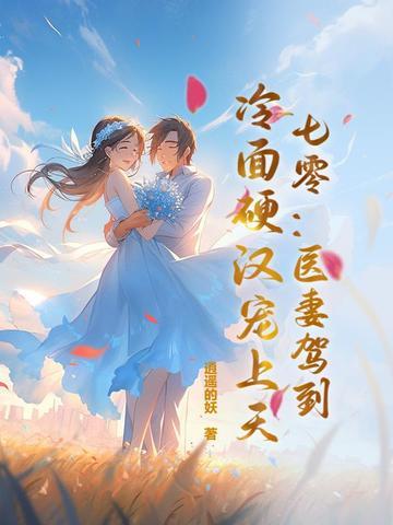 冷面硬汉宠上天 书