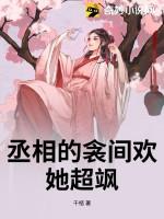 丞相作者