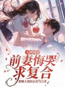 天降甜妻在线全文免费阅读