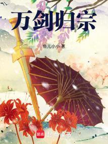 万剑归宗有几招