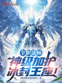 全职法师进阶