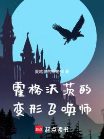 霍格沃茨变形学