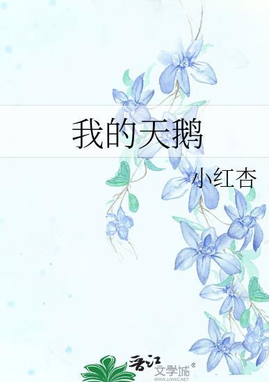 我的天鹅全本TXTTXT