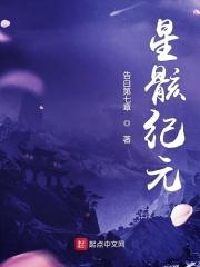 星骸骑士是什么