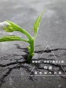 离婚后的我开始转运了无错