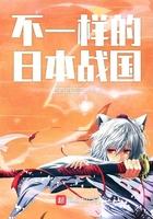 这个日本战国不一样