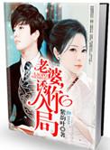 老婆诱你入局半盒胭脂听书