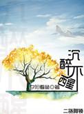 沉醉不醒TXT