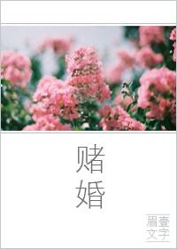 赌婚 情殇无味