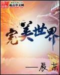 完美世界TXT